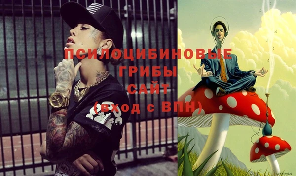 трава Нязепетровск