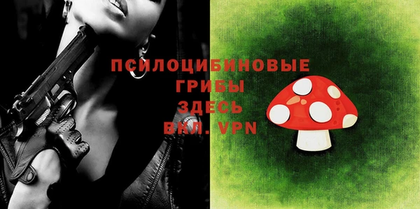 прущие крисы Осинники