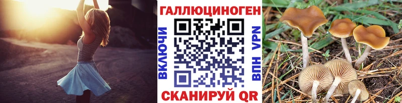Купить закладки  Иланский  Псилоцибиновые грибы Psilocybine cubensis 